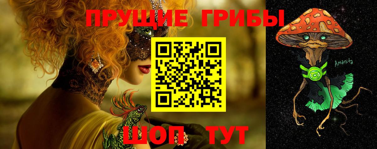 Малгобек  Псилоцибиновые грибы Psilocybe  Вход с VPN 